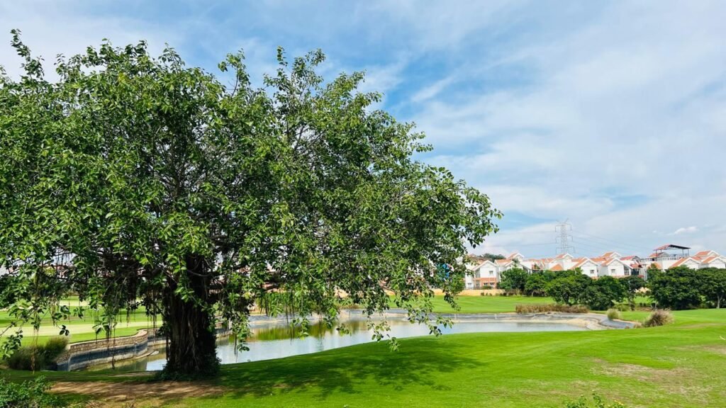 Prestige Augusta Golf Village